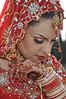 Sapna & Amardeep's Wedding : 